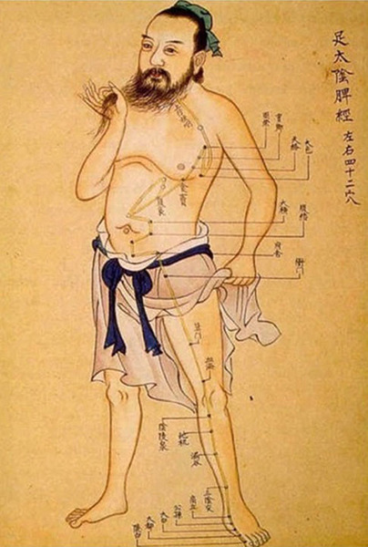 Acupuncture and Oriental Medicine points on the human body